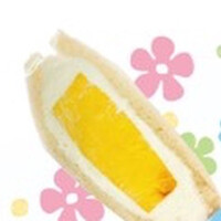 画像492